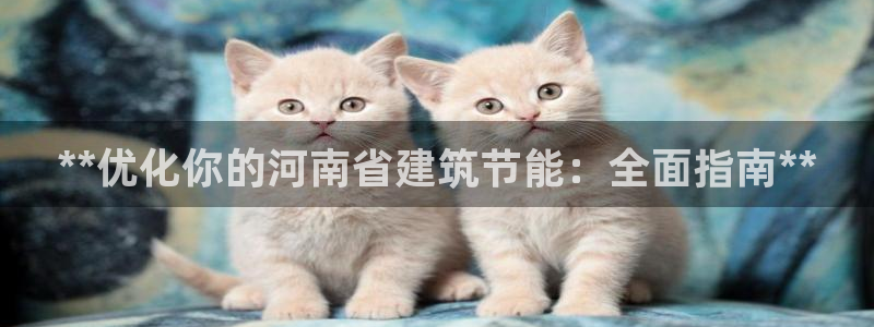 e尊国际官方网站：**优化你的河南省建筑节能：全面指南**