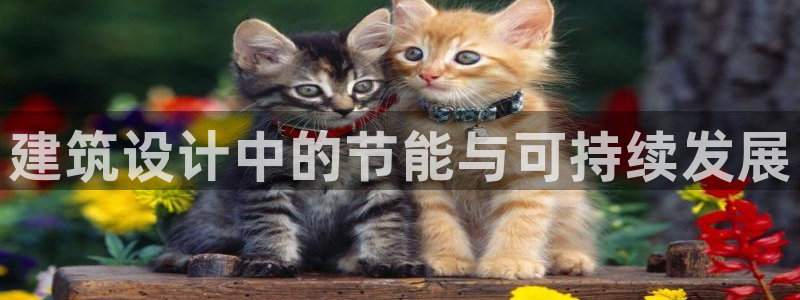 e尊国际娱乐官网下载：建筑设计中的节能与可持续发展