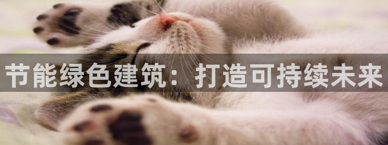 E尊国际：节能绿色建筑：打造可持续未来