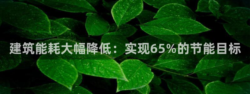 e尊国际官网：建筑能耗大幅降低：实现65%的节能目标