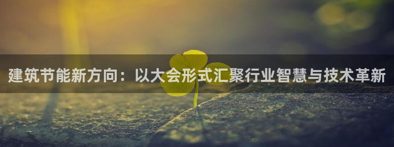 谁知道e尊国际的网址：建筑节能新方向：以大会形式汇聚行业智慧与技术革新