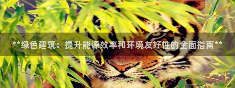 e尊国际娱乐官网地址：**绿色建筑：提升能源效率和环境友好性的全面指南**