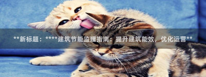 E尊国际网站：**新标题：****建筑节能监理指南：提升建筑能效，优化运营**