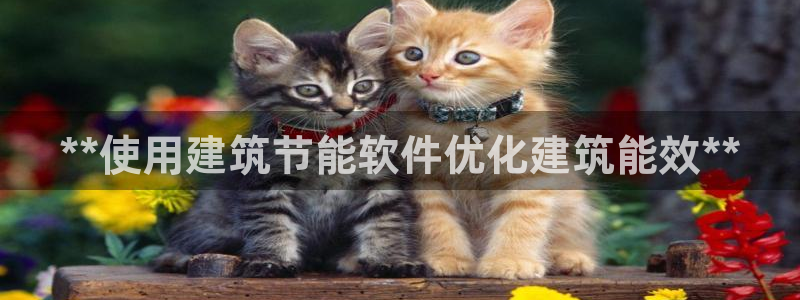 e尊国际7779：**使用建筑节能软件优化建筑能效**