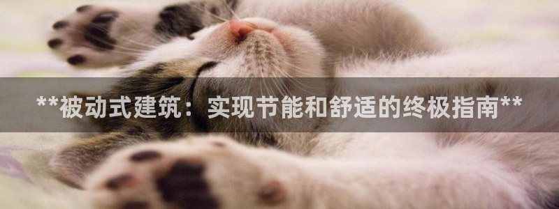 E尊国际：**被动式建筑：实现节能和舒适的终极指南**