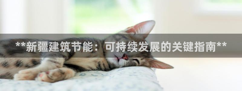 e尊国际娱乐官网下载：**新疆建筑节能：可持续发展的关键指南**