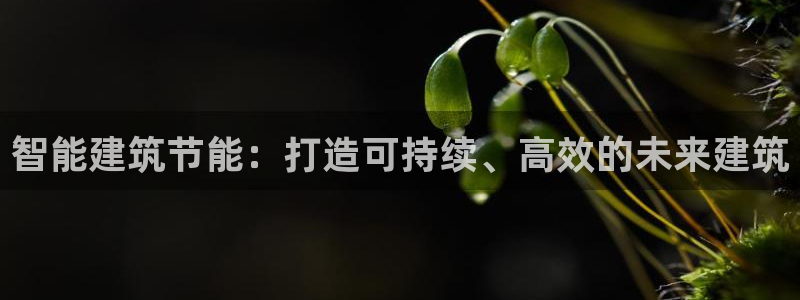 e尊国际app：智能建筑节能：打造可持续、高效的未来建筑