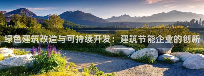e尊平台：绿色建筑改造与可持续开发：建筑节能企业的创新