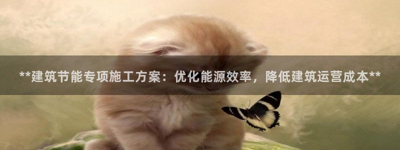 e尊国际的手机登录网站：**建筑节能专项施工方案：优化能源效率，降低建筑运营成本**