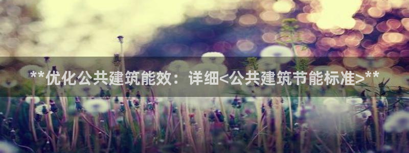 e尊国际-可可计划：**优化公共建筑能效：详细<公共建筑节能标准>**