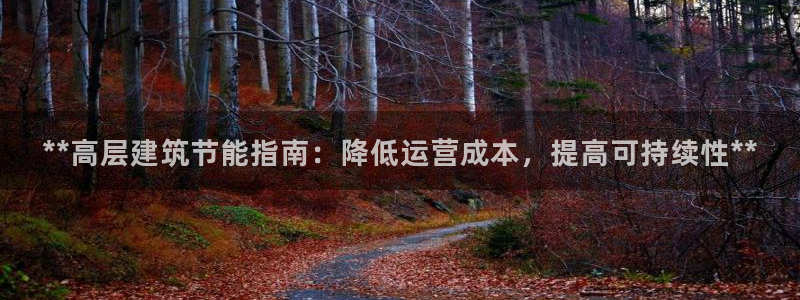e尊国际娱乐官网下载：**高层建筑节能指南：降低运营成本，提高可持续性**