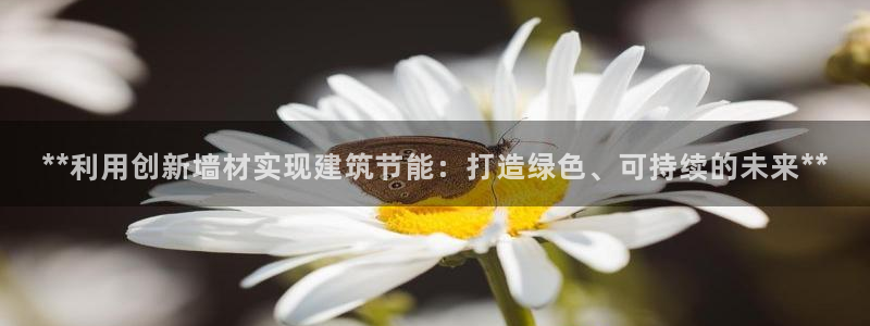 e尊电竞：**利用创新墙材实现建筑节能：打造绿色、可持续的未来**