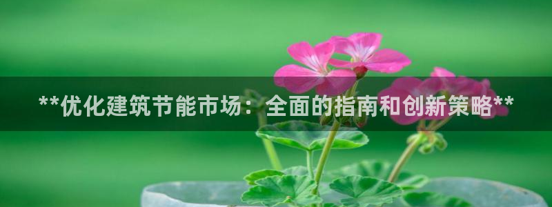 e尊国际娱乐官网下载：**优化建筑节能市场：全面的指南和创新策略**