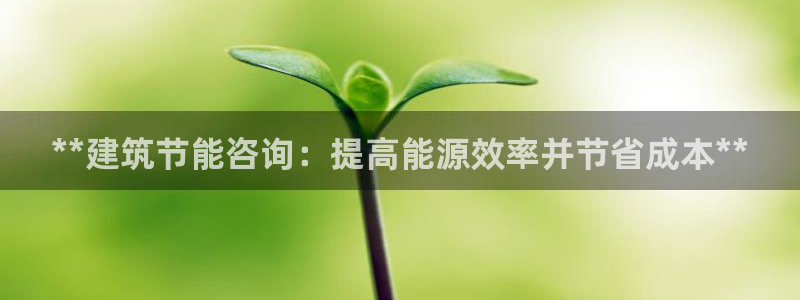 e尊国际客户端下载：**建筑节能咨询：提高能源效率并节省成本**