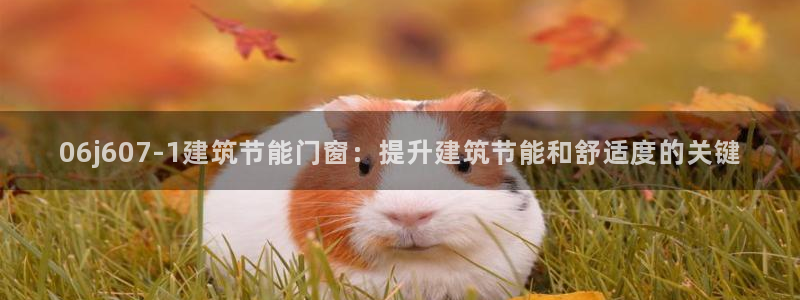 e尊国际可靠吗：06j607-1建筑节能门窗：提升建筑节能和舒适度的关键