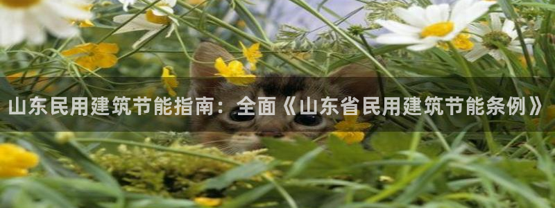 e尊国际的手机登录网站：山东民用建筑节能指南：全面《山东省民用建筑节能条例》