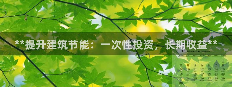 e尊国际官方网站：**提升建筑节能：一次性投资，长期收益**