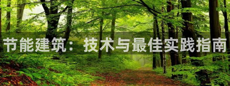e尊国际官方网站：节能建筑：技术与最佳实践指南