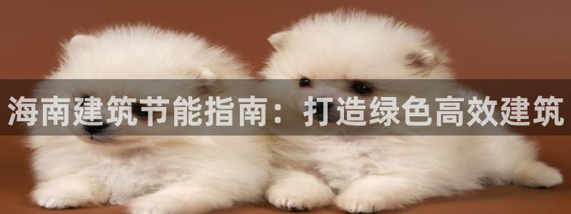 e尊平台：海南建筑节能指南：打造绿色高效建筑
