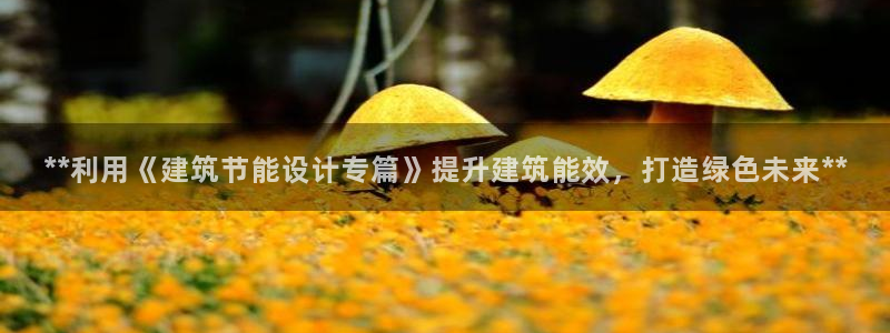 e尊体育：**利用《建筑节能设计专篇》提升建筑能效，打造绿色未来**