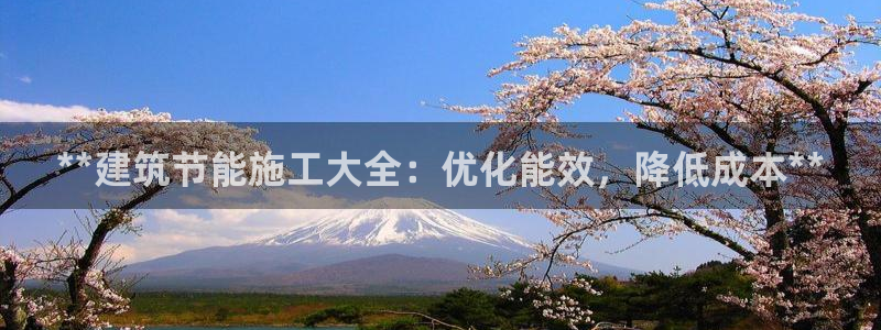 e尊体育：**建筑节能施工大全：优化能效，降低成本**