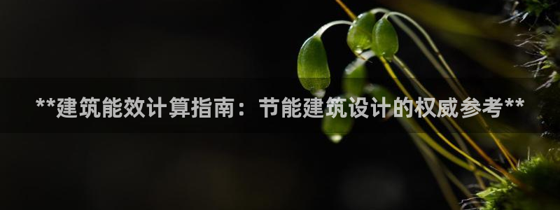 e尊国际可靠吗：**建筑能效计算指南：节能建筑设计的权威参考**