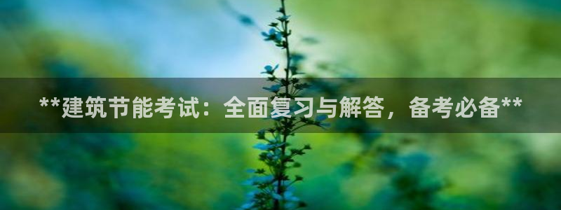e尊国际娱乐官网下载：**建筑节能考试：全面复习与解答，备考必备**