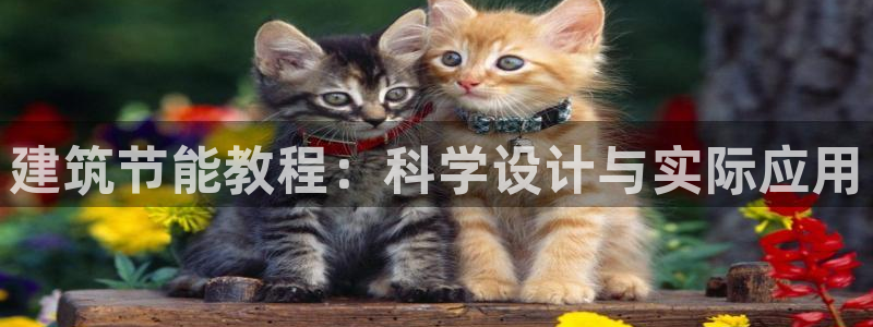 e尊国际7779：建筑节能教程：科学设计与实际应用