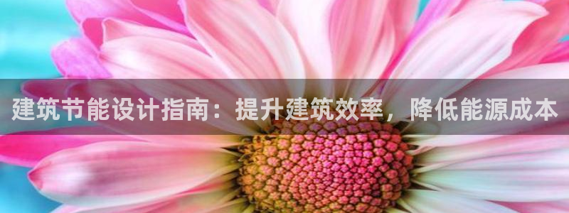 E尊国际网站：建筑节能设计指南：提升建筑效率，降低能源成本