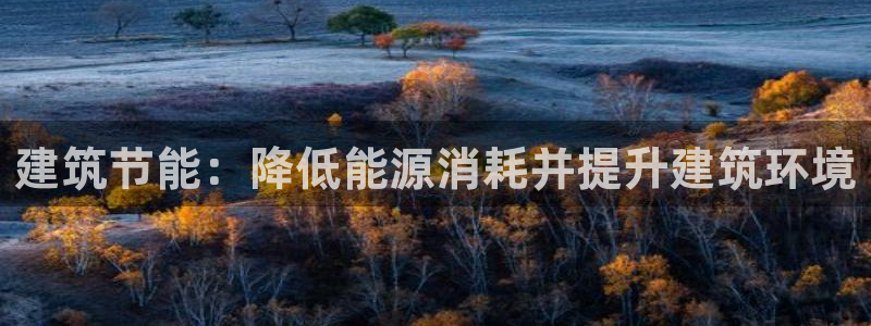 E尊国际：建筑节能：降低能源消耗并提升建筑环境