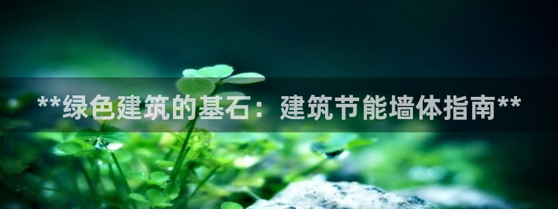 尊亿游戏国际官网：**绿色建筑的基石：建筑节能墙体指南**