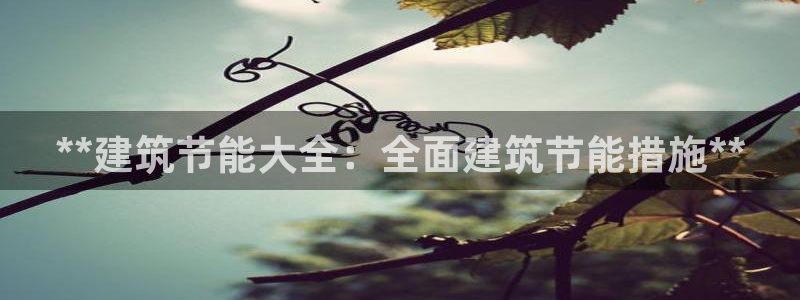 e尊国际官网：**建筑节能大全：全面建筑节能措施**