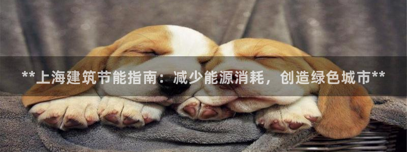 e尊国际7779：**上海建筑节能指南：减少能源消耗，创造绿色城市**