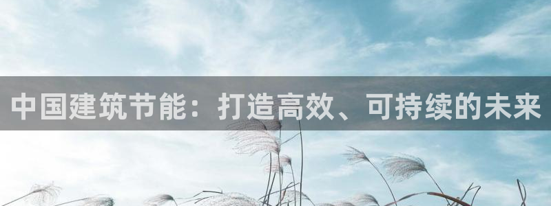e尊国际客户端下载：中国建筑节能：打造高效、可持续的未来