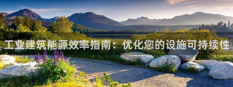 e尊国际网址：工业建筑能源效率指南：优化您的设施可持续性