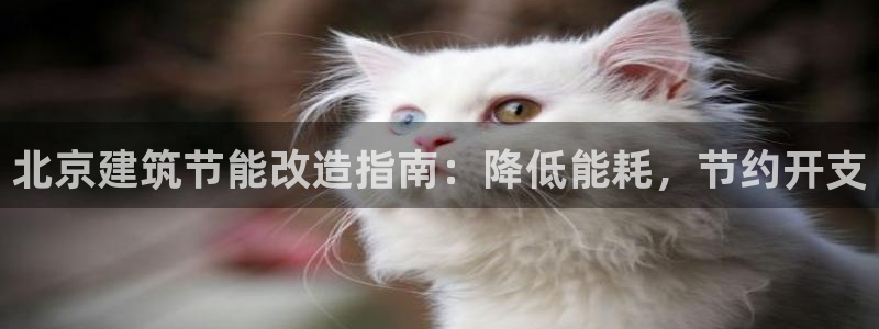 e尊国际平台：北京建筑节能改造指南：降低能耗，节约开支