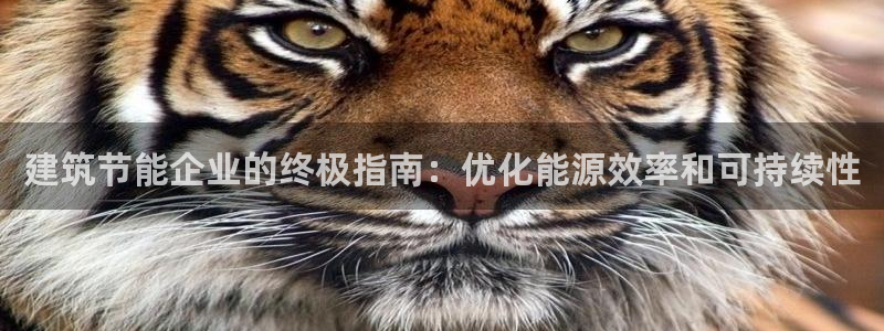 e尊国际-可可计划：建筑节能企业的终极指南：优化能源效率和可持续性