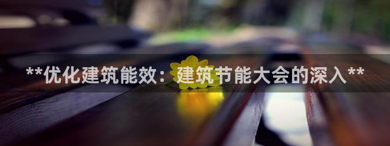 E尊国际网站：**优化建筑能效：建筑节能大会的深入**