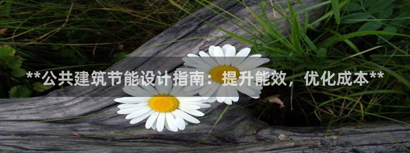 谁知道e尊国际的网址：**公共建筑节能设计指南：提升能效，优化成本**