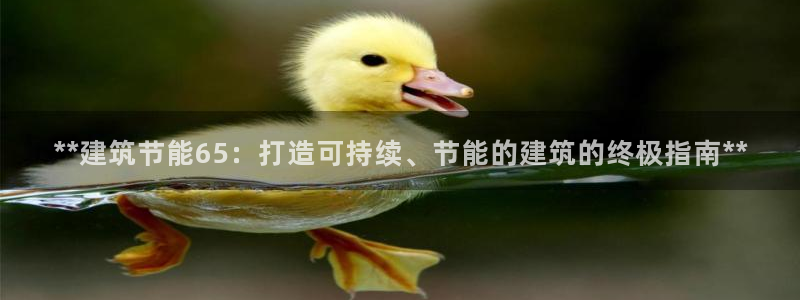 e尊国际平台：**建筑节能65：打造可持续、节能的建筑的终极指南**