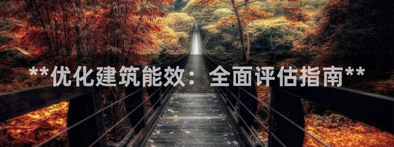 e尊国际是干什么的：**优化建筑能效：全面评估指南**