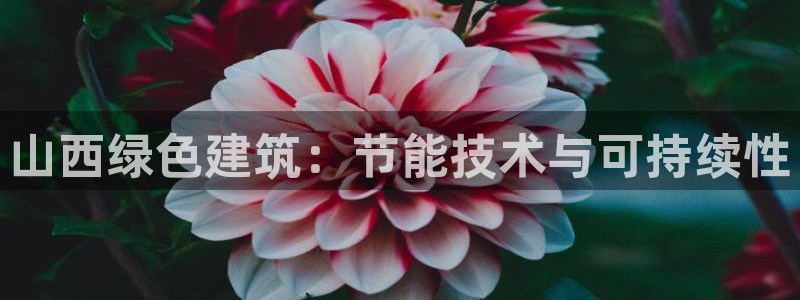 E尊国际网站：山西绿色建筑：节能技术与可持续性
