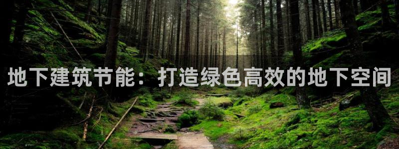 E尊国际网站：地下建筑节能：打造绿色高效的地下空间