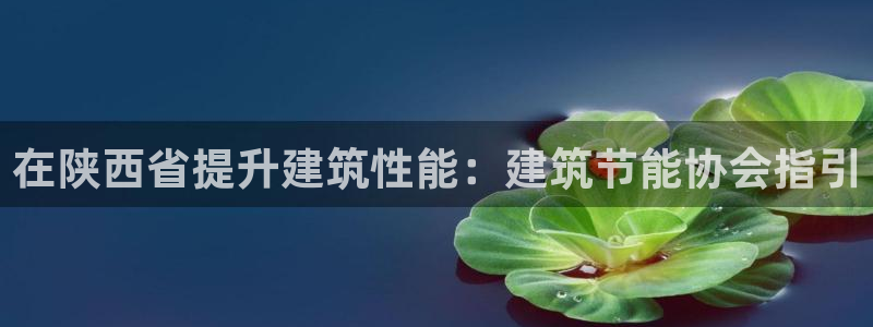 e尊国际客户端下载：在陕西省提升建筑性能：建筑节能协会指引