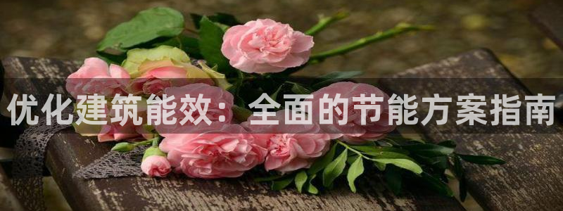 e尊平台：优化建筑能效：全面的节能方案指南