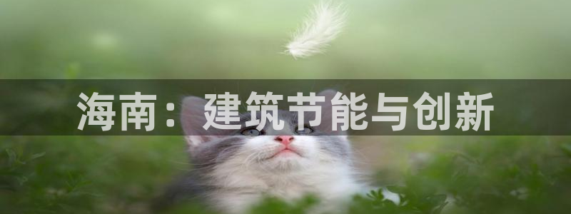 e尊国际官网·网址：海南：建筑节能与创新