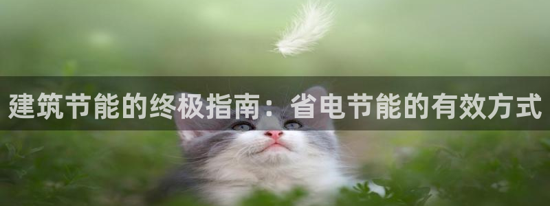 e尊国际客户端：建筑节能的终极指南：省电节能的有效方式
