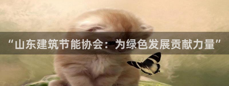 e尊国际客户端：“山东建筑节能协会：为绿色发展贡献力量”
