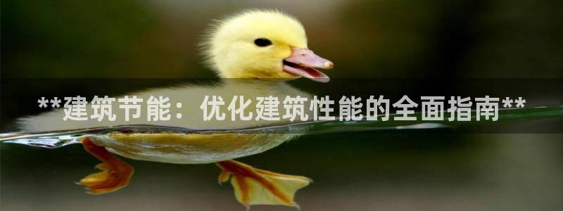 e尊国际官网·网址：**建筑节能：优化建筑性能的全面指南**