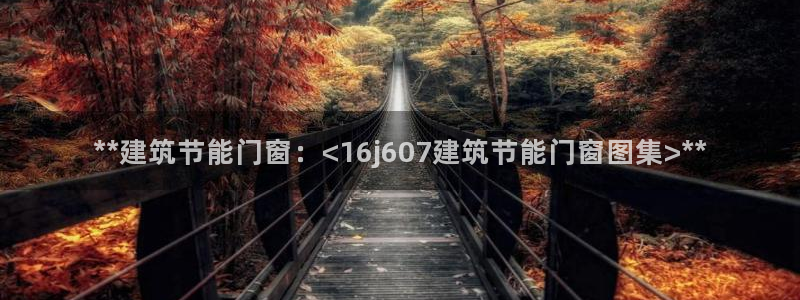 谁知道e尊国际的网址：**建筑节能门窗：<16j607建筑节能门窗图集>**